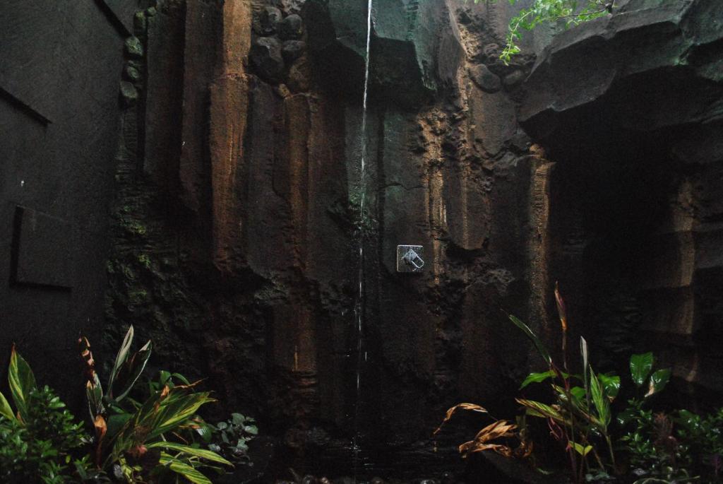 Trijaya Guest House Pemuteran Bagian luar foto